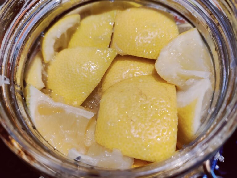 preserved moroccan lemons