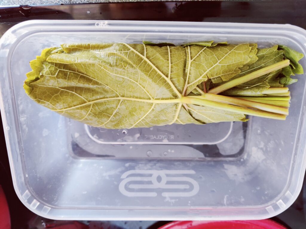 rolled blanched vine leaves in a tub