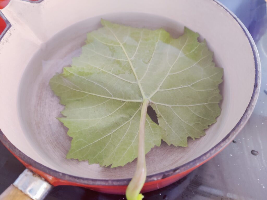 how to preserve vine leaves - blanch the vine leaves in a saucepan of water