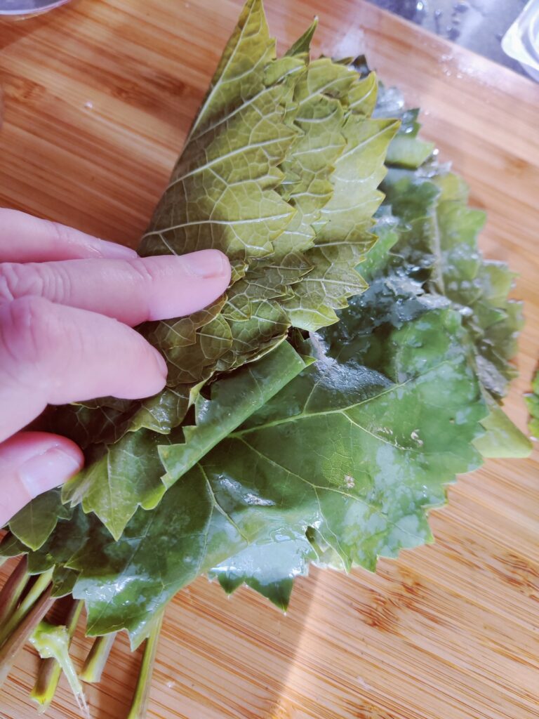 rolling vine leaves
