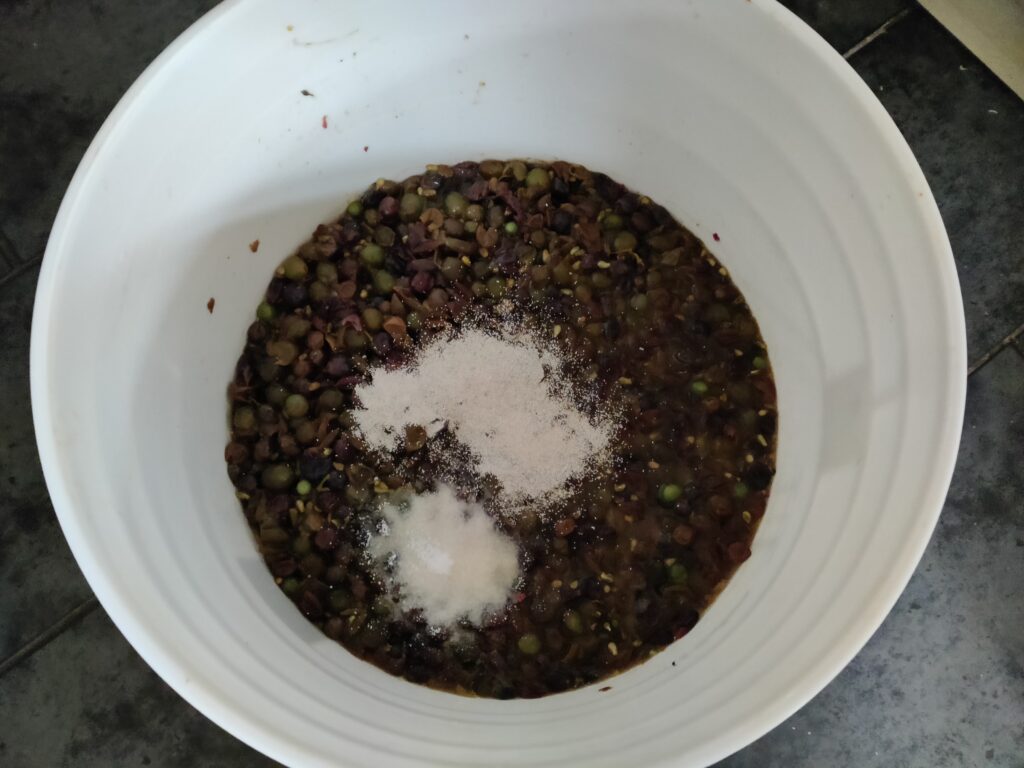 adding yeast and nutrient to grape must