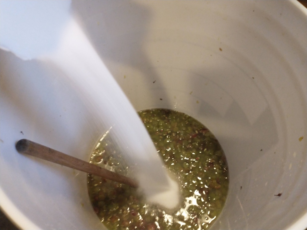 adding sugar to grape must
