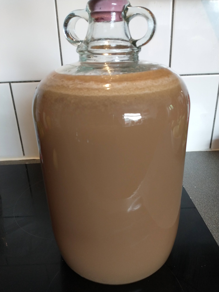 young wine in demijohn